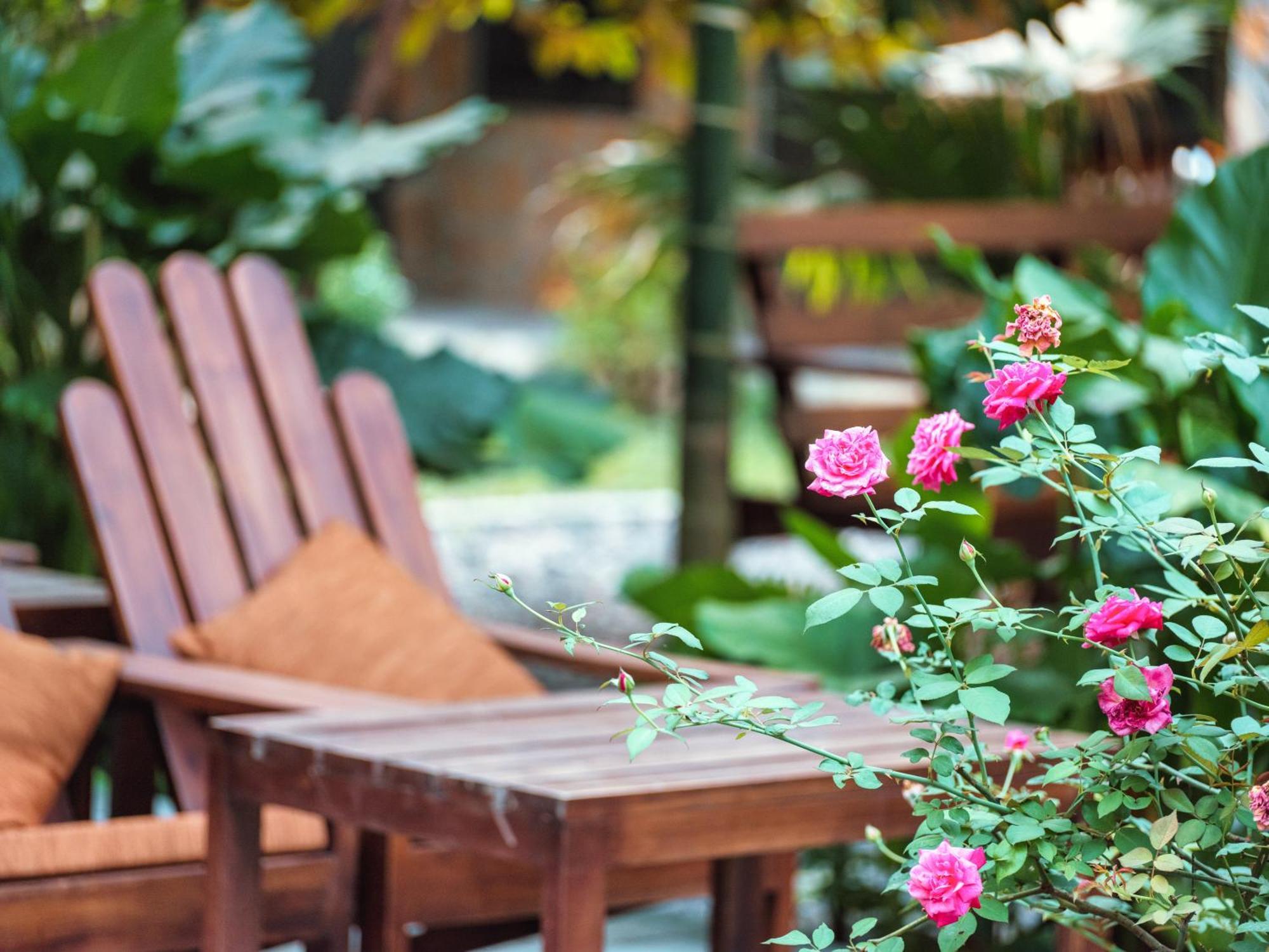 Cozy Beer Garden Homestay 닌빈 외부 사진